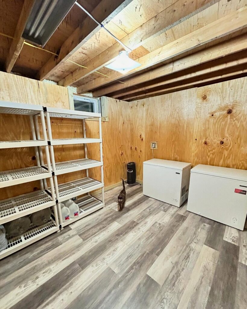 White chest freezers and metal shelving in a basement with plywood walls and wood floors.
